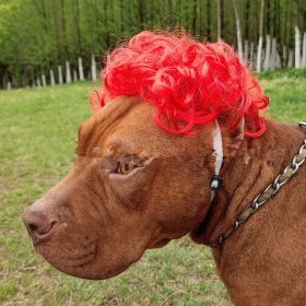 Pet Wig Afro Head Bangs Pigtail (Color: Red)